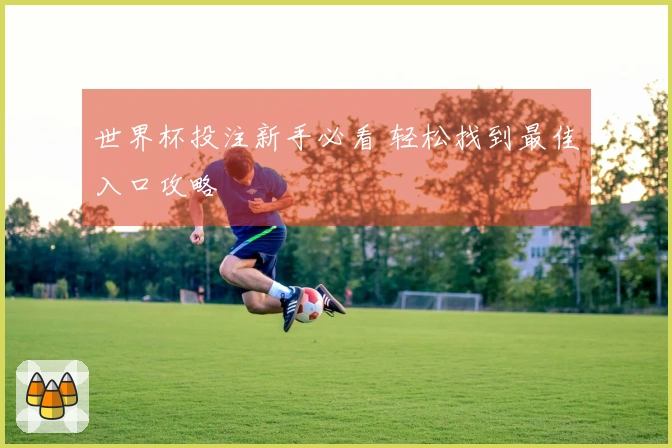 世界杯投注新手必看 轻松找到最佳入口攻略