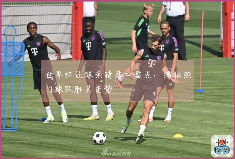 世界杯让球竞猜盘口盘点，揭秘热门球队胜负走势