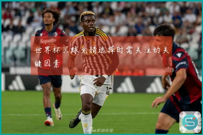 世界杯买球竞猜选择时需关注的关键因素