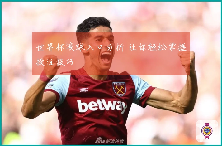世界杯滚球入口分析 让你轻松掌握投注技巧