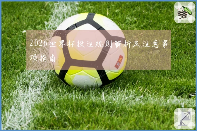 2026世界杯投注规则解析及注意事项指南