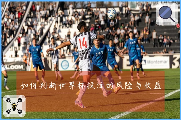 如何判断世界杯投注的风险与收益