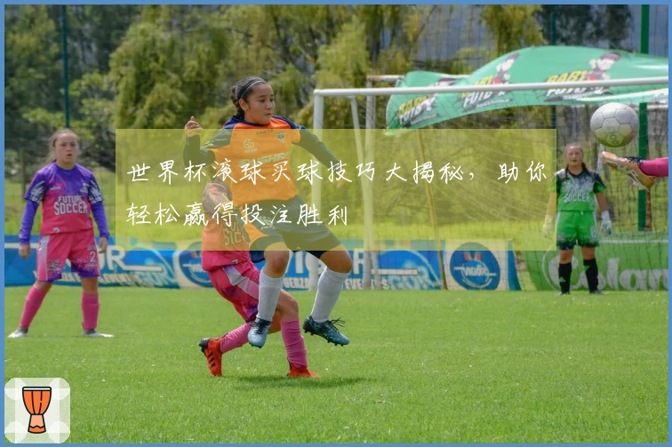 世界杯滚球买球技巧大揭秘，助你轻松赢得投注胜利