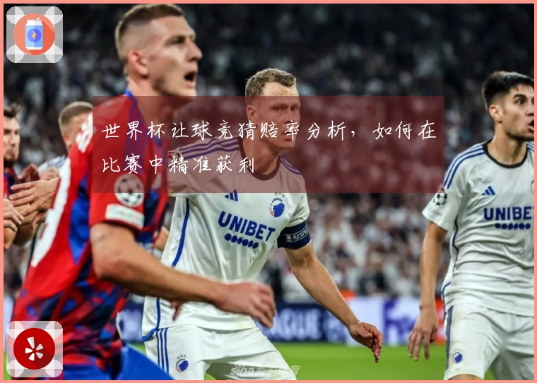 世界杯让球竞猜赔率分析，如何在比赛中精准获利