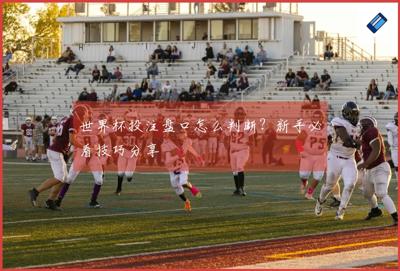 世界杯投注盘口怎么判断？新手必看技巧分享