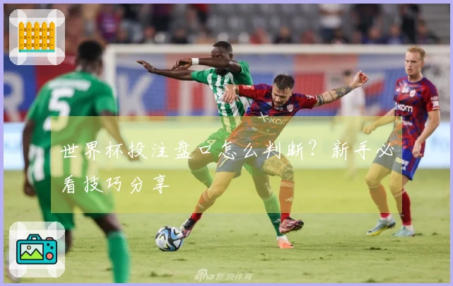 世界杯投注盘口怎么判断？新手必看技巧分享
