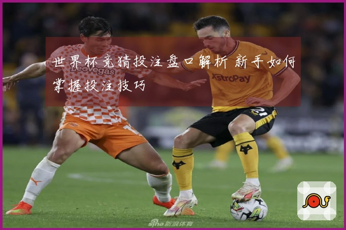 世界杯竞猜投注盘口解析 新手如何掌握投注技巧