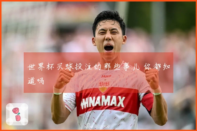 世界杯买球投注的那些事儿 你都知道吗