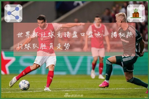 世界杯让球竞猜盘口盘点，揭秘热门球队胜负走势
