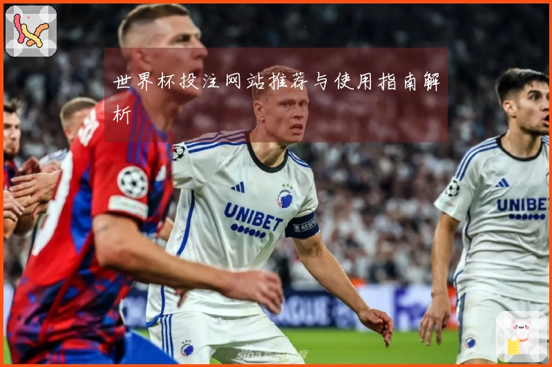 世界杯投注网站推荐与使用指南解析
